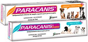 Paracanis