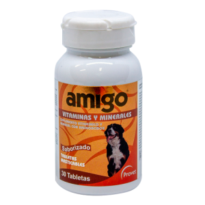 Amigo