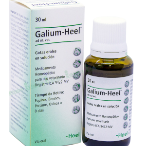 Galium-Heel