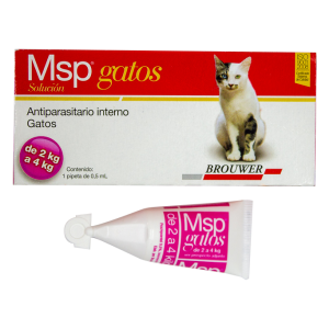 MSP gatos