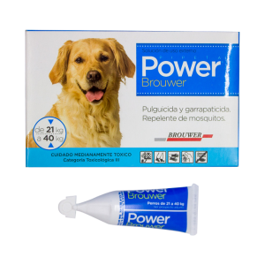 Power