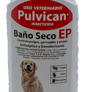 Pulvican