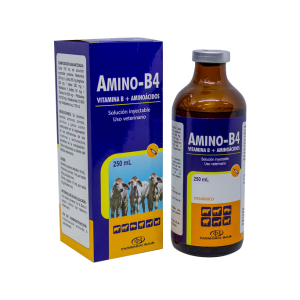 Amino-B4