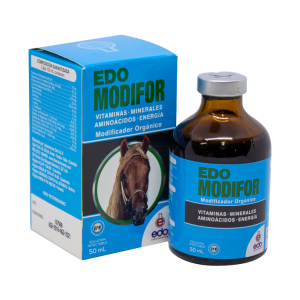 Edo Modifor