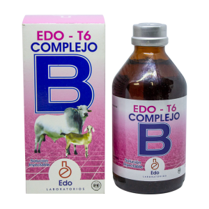 Edo T6
