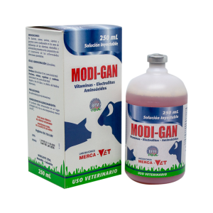 Modi-gan