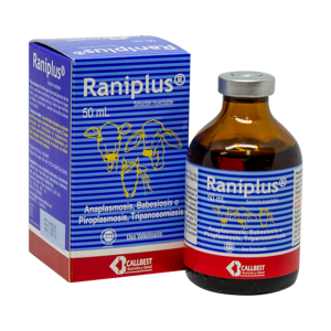 Raniplus