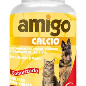AMIGO CALCIO