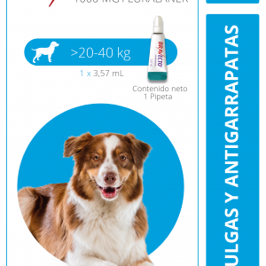 BRAVECTO 20-40KG Solución tópica 1000 mg.