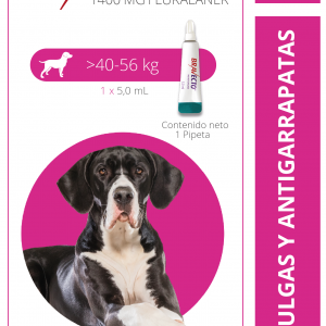 BRAVECTO 40-56KG Solución tópica 1400 mg.