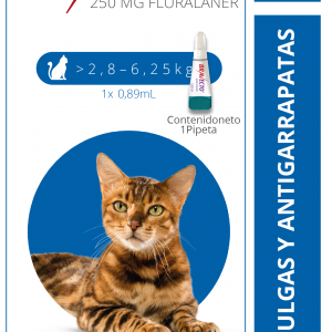 BRAVECTO 2,8-6,25KG Solución tópica 250 mg GATOS.