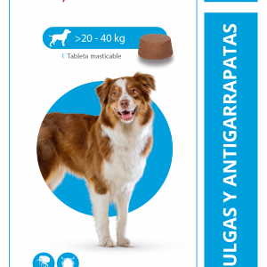 BRAVECTO 20-40KG 1 Tableta masticable  1000 mg.